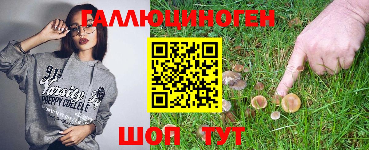 Галлюциногенные грибы GOLDEN TEACHER Лянтор