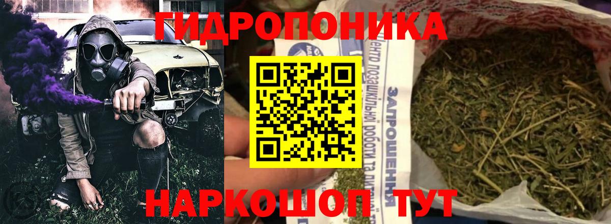 Бошки Шишки конопля Лянтор